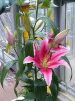 Foto: Dr. Peter Müller